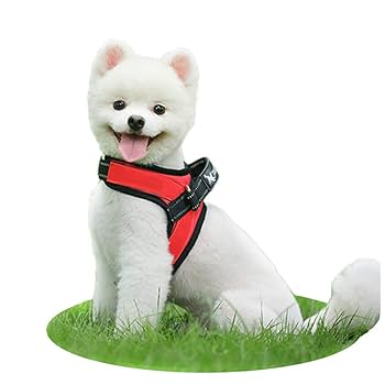 letosan 犬用ハーネス＆リーダーセット 犬胴輪 可愛い メッシュ